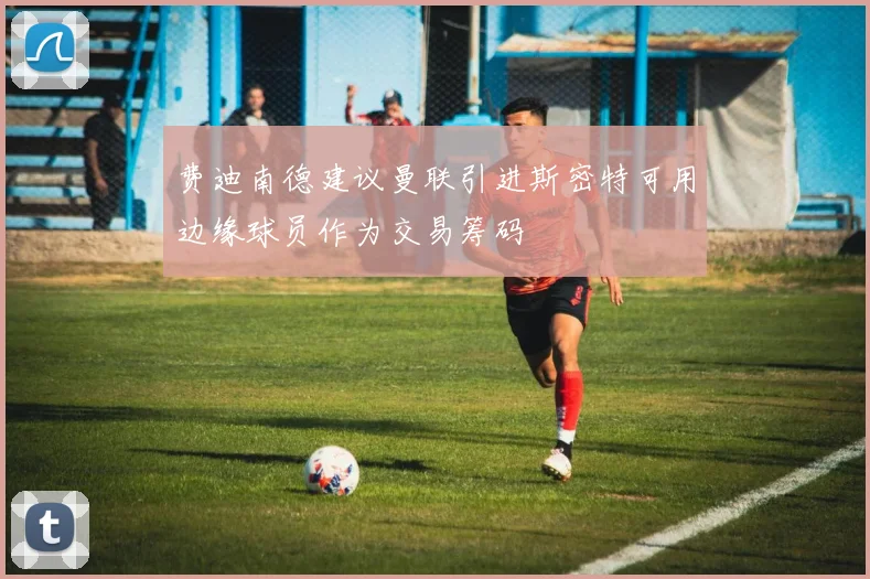 费迪南德建议曼联引进斯密特可用边缘球员作为交易筹码